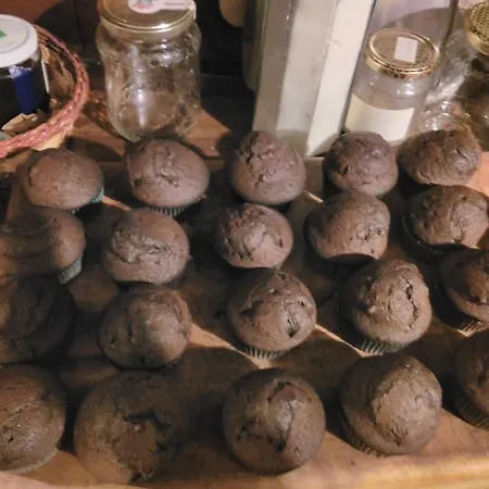 B&b23 Frühstückspension