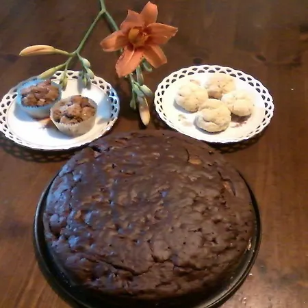 Bed & Breakfast B&b23 *